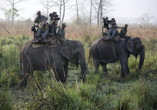 Looking for Rhinos, Chitwan Park, Nepal