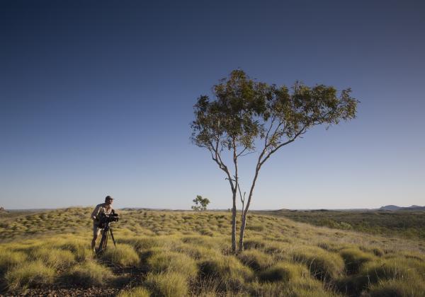 Purnalulu, NW Australia